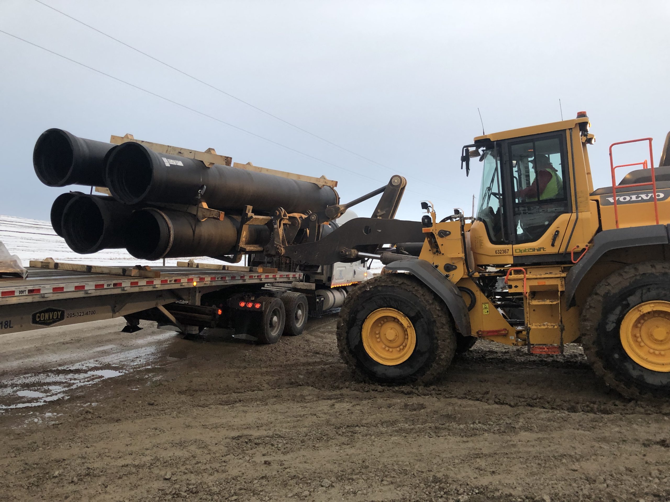 Photo Jan 06, 8 01 24 AM