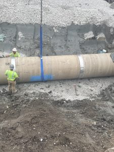 Photo May 05 2023, 9 36 15 AM